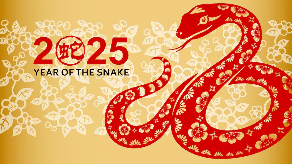 Qingdao Be -Win Ind & Trade Co., Ltd: Holiday Notice (18. januar - 4. februar 2025)